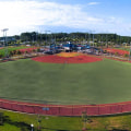 The Thriving World of Baseball in Danville, CA