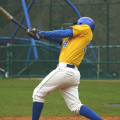 Unlocking the Power of Fundraising for Baseball Organizations in Danville, CA