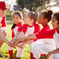 Exploring Baseball Organizations in Danville, CA: Discounts for Families with Multiple Players