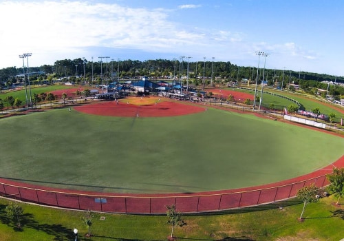 The Thriving World of Baseball in Danville, CA