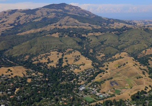 The Rise of Baseball in Danville, CA: A Look at the Top Organizations and Their Successful Alumni
