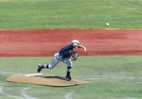 The Importance of a Code of Conduct for Baseball Organizations in Danville, CA